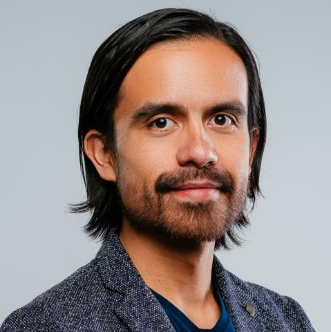 Ricardo Alegría