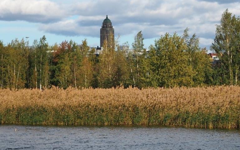 A view cross water and reeds, with a brick tower in the background