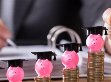 Six piles of coins, from lowest to highest, with a little pink pig on top of each one